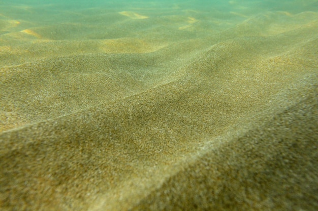 Zdjęcie Podwodne, Płytkie Morze Z Oświetlonymi Słońcem „wydmami”.