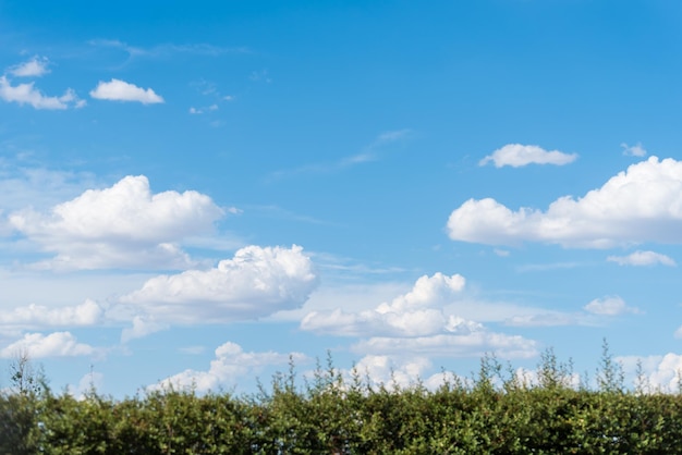 Zdjęcie pola z błękitnym niebem i chmurami