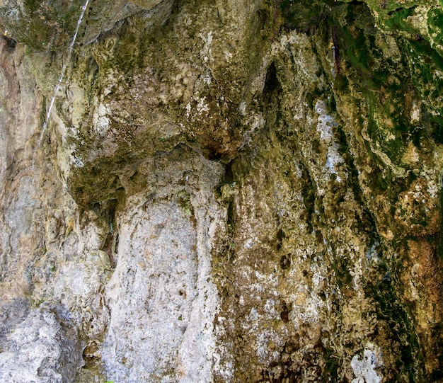 Zdjęcie starej kamiennej tekstury z mchem w jaskini