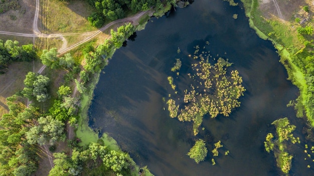 Zdjęcie z drona nad pięknym jeziorem z zielonymi drzewami