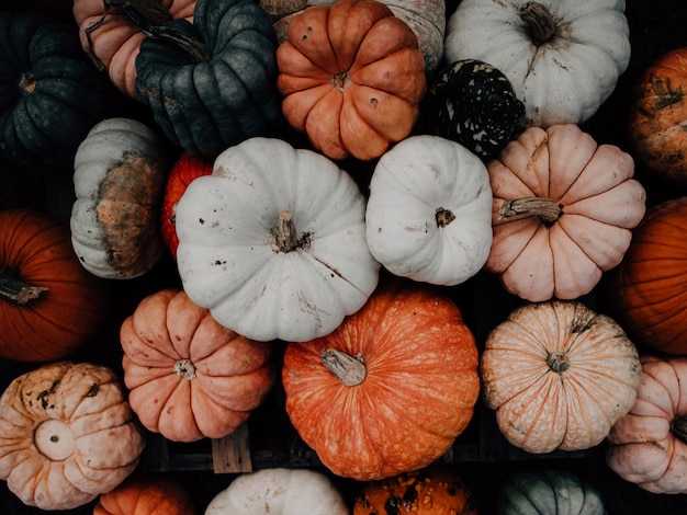 Zdjęcie z Halloween