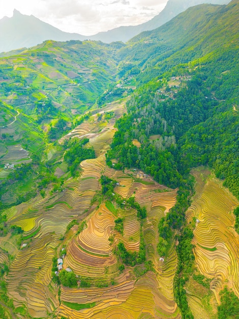 Zdjęcie z lotu ptaka tarasów ryżowych w prowincji Muong Hum Y Ty Lao Cai Wietnam Krajobraz panorama wietnamskich tarasowych pól ryżowych Serce Muong Hum Spektakularne pola ryżowe Zszyta panorama