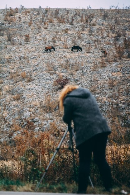 Zdjęcie z tyłu kobiety fotografującej konie za pomocą kamery