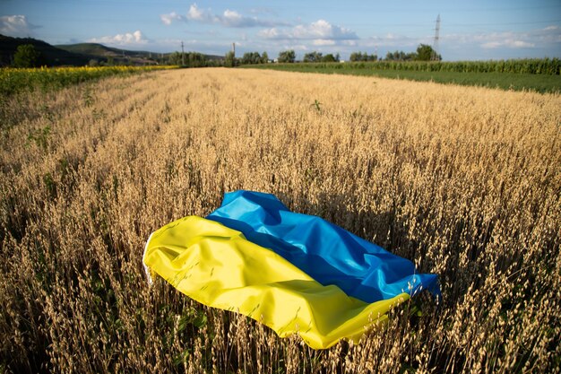 Zdjęcie z tyłu kobiety stojącej na polu