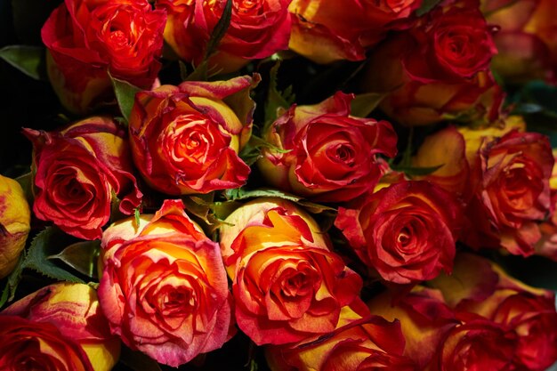 Zdjęcie zbliżenia redyellow róży bukiet Pocztówka z gratulacjami Romans