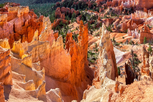 Zdradzieckie Zejście Do Kanionu Bryce