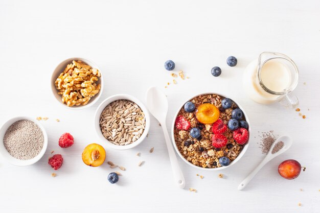 Zdrowa muesli na śniadanie z owocami jagodowymi, wegańskim mlekiem