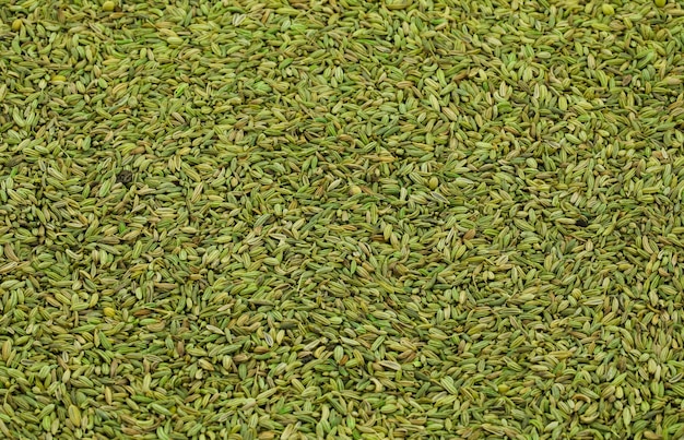 Zdrowe nasiona kopru lub tradycyjne potrawy trawienne Saunf.
