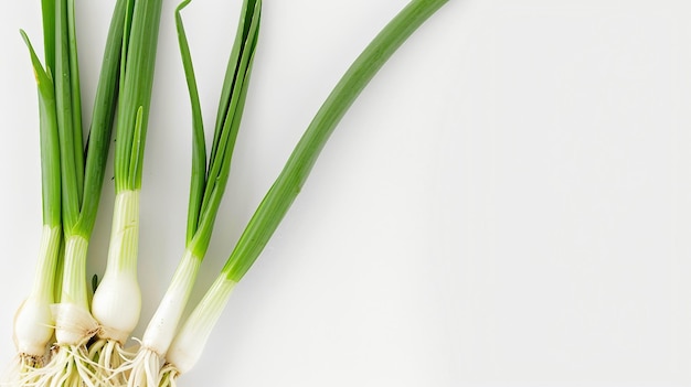 Zdrowy Scallion Image