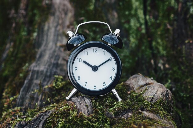 Zdjęcie zegar w lesie czas przerwy czas spędzony w przyrodzie i koncepcja przepływu czasu