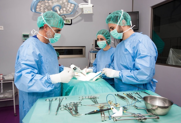 Zdjęcie zespół personelu medycznego zajmujący się interwencją chirurgiczną medycyna ogólna