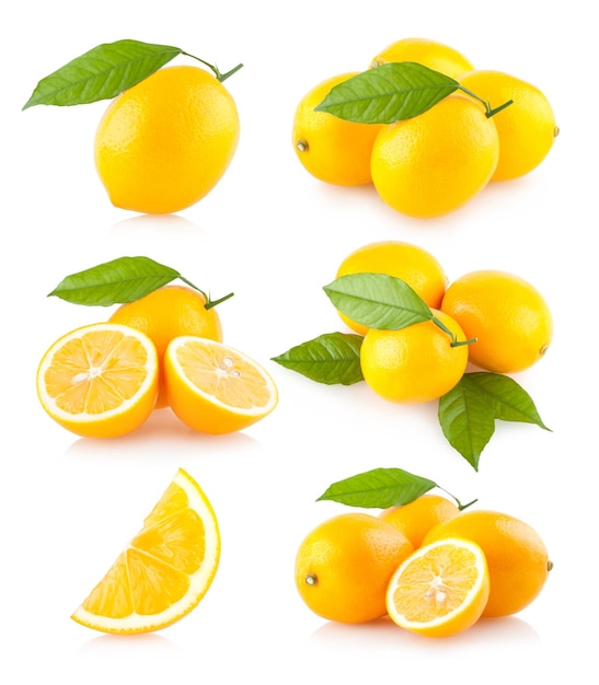 Zestaw 6 obrazków cytryny