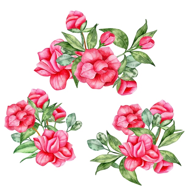 Zestaw akwarelowych ilustracji kwiatowych ręcznie narysowanych trzech różnych bukietów różowych kwiatów i liści kamelii izolowanych na białym tle Projekt dla zaproszeń i kart powitalnych