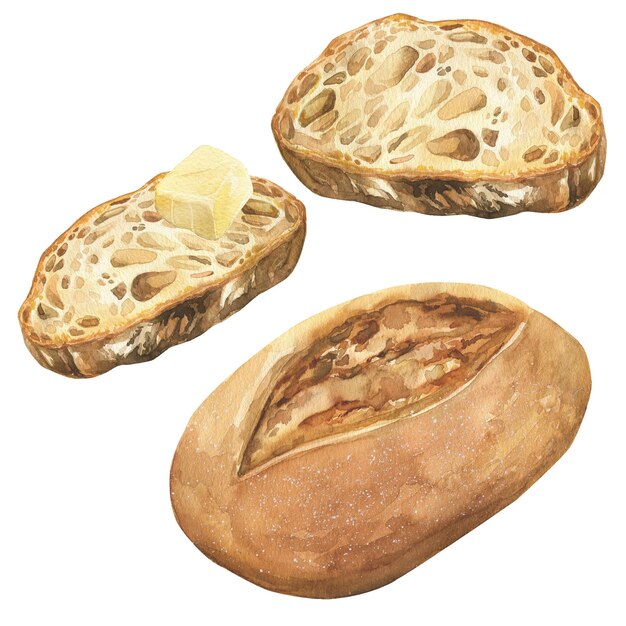 Zdjęcie zestaw chlebów akwarelowych cały kawałek chleba kawałek chleb z masłem ręcznie narysowana ilustracja