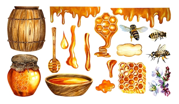 Zestaw do miodu z pszczołami beczkowymi plastry miodu kwiaty gryki. Akwarela ilustracja.