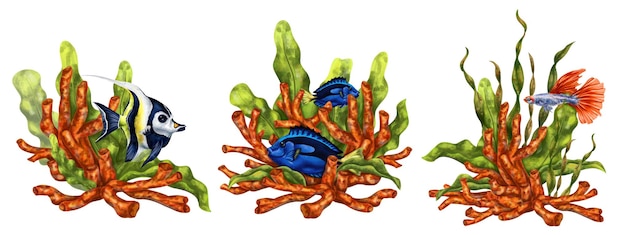 Zestaw egzotycznych kompozycji z podwodnym światem cyfrowe rysunki czerwonych koralowców, wodorostów, ryb tropikalnych na białym tle do drukowania naklejek, plakatów, pocztówek