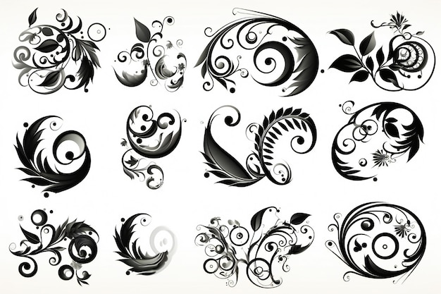 Zestaw filigranowych kształtów kaligraficznych elementy projektu dekoracje strony