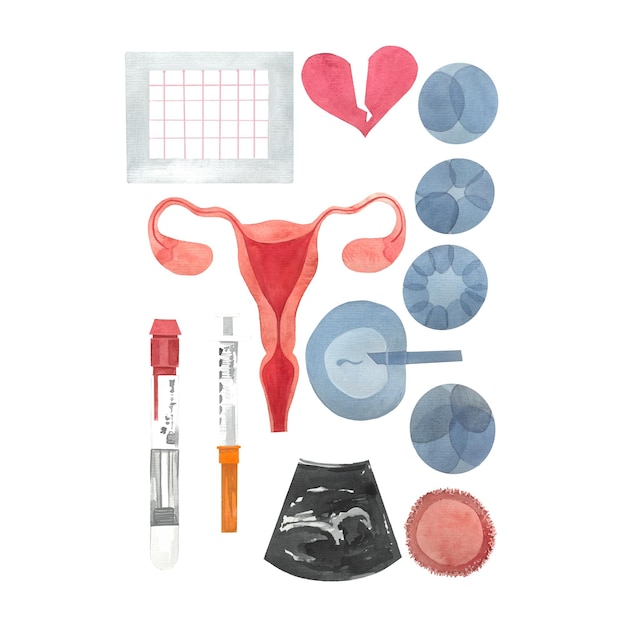 Zestaw ilustracji na temat zapłodnienia IVF, zdrowia kobiet, planowania rodziny Zdjęcia dla ginekologów i specjalistów od reprodukcji narysowane akwarelami