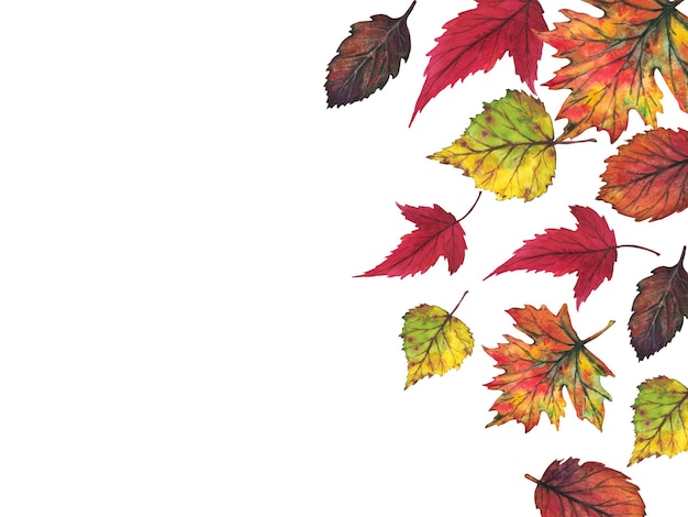 Zestaw kolorowych jesiennych liści akwarela ilustracja