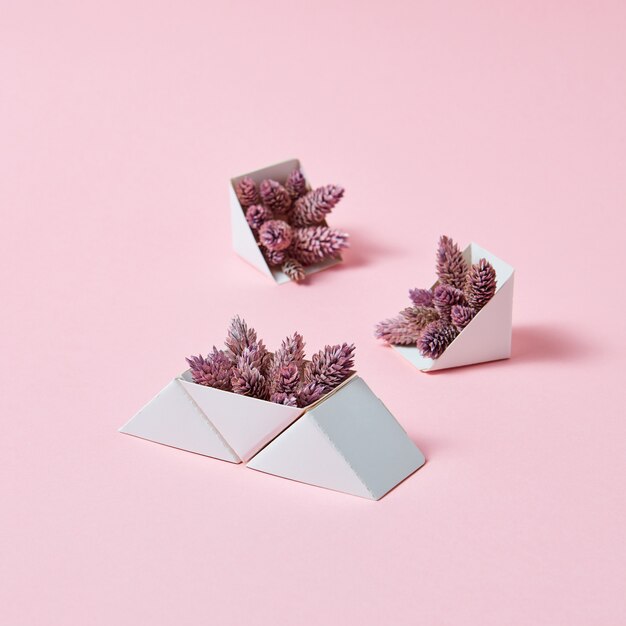 Zestaw trójkątnych pudełek kartonowych z szyszkami na różowym tle z miejscem na kopię. Kreatywna kompozycja