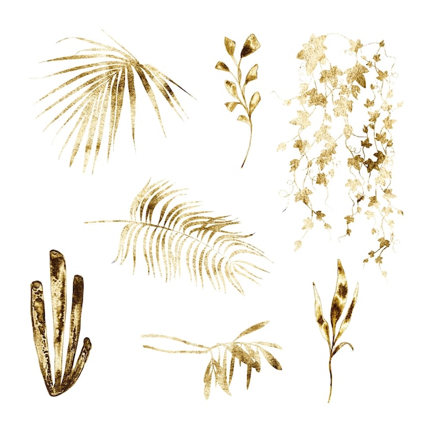 Zdjęcie zestaw złotych liści tropikalnych