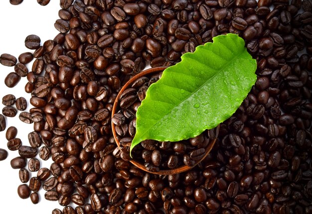 Ziarna kawy z liśćmi kawy
