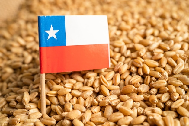 Ziarna Pszenicy Z Flagą Chile, Eksportem I Koncepcją Ekonomii