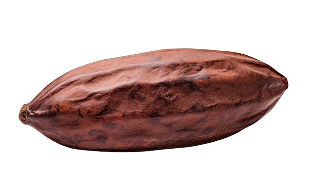 Ziarno kakaowe