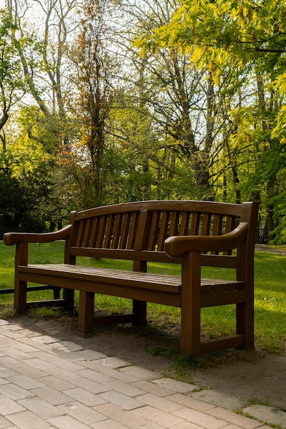 Zielona drewniana ławka w parku w słoneczny dzień w sezonie jesień wiosna lato Publiczny park Olivia