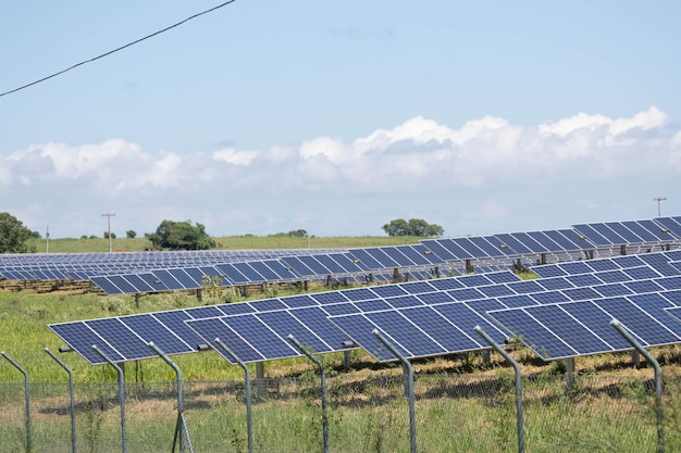 Zielona energia farmy słonecznej ze światła słonecznego pokazuje dużo płyt z ogniwami słonecznymi. Selektywne skupienie.