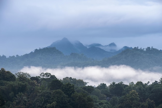 Zielona góra w klimacie tropikalnym we mgle