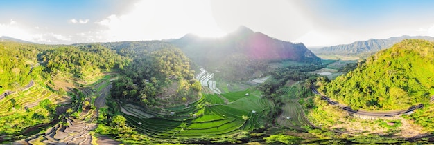 Zielona kaskadowa plantacja ryżu na Bali Indonezja