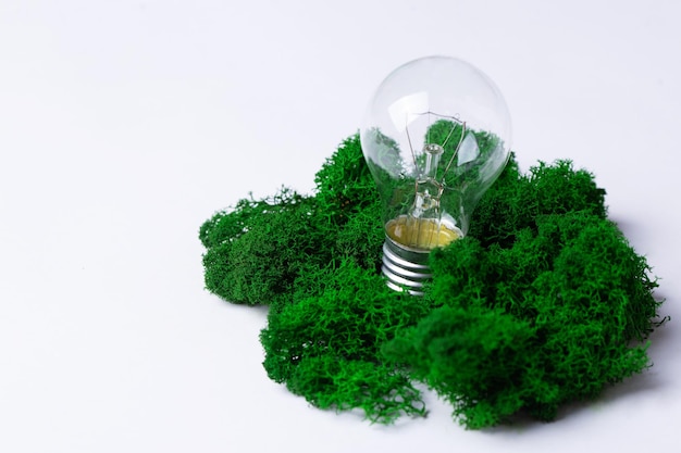 Zdjęcie zielona koncepcja energii