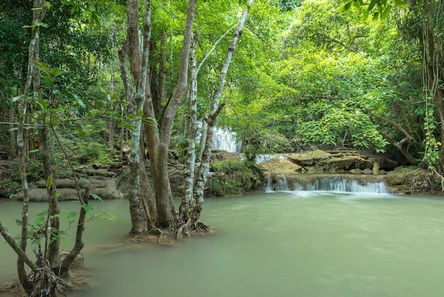 Zielona przyroda z zielonym wodospadem, Erawan wodospad znajduje się w prowincji Khanchanaburi, Tajlandia