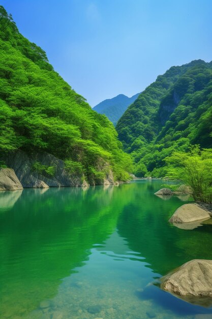 Zdjęcie zielona rzeka z górą w tle