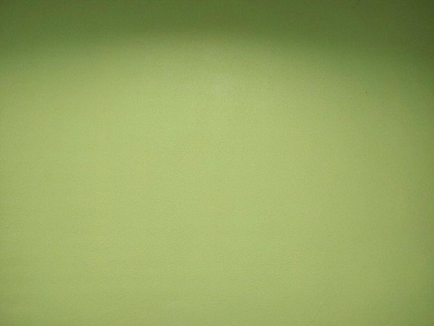 Zielona ściana z białą podstawą z napisem „nikogo na niej nie ma”