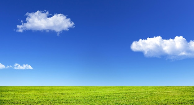 Zielona trawa i niebieskie niebo