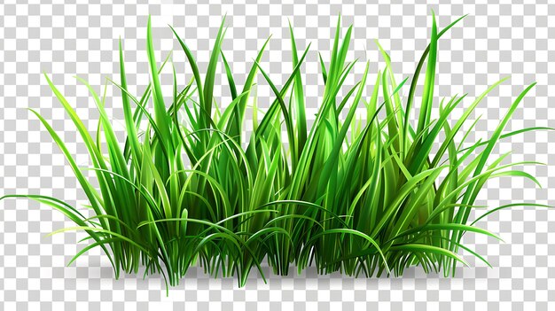 Zdjęcie zielona trawa ilustracja wektorowa zielonej trawy izolowanej na przezroczystym tle