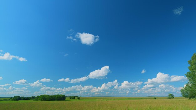 Zielona trawa kołysa się w wietrze piękne płynące białe chmury i cienie na zielonej prerii