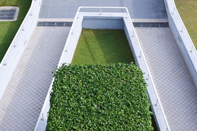 Zielona trawa na kwadratowym betonowym bloku w parku