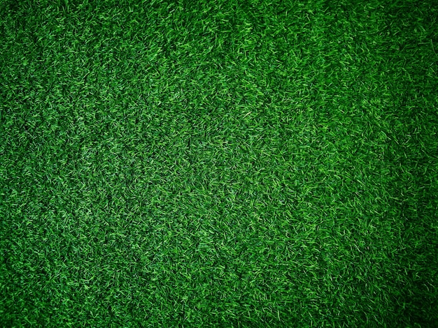 Zielona trawa tekstura tło trawa ogród koncepcja używana do robienia zielonego tła boisko do piłki nożnej trawa Golf zielony trawnik wzór teksturowane tło