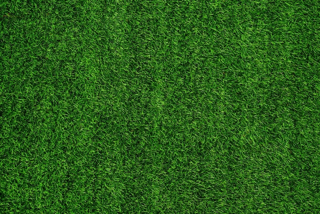 Zielona trawa tekstura tło trawa ogród koncepcja używana do robienia zielonego tła boisko do piłki nożnej trawa Golf zielony trawnik wzór teksturowane tłox9