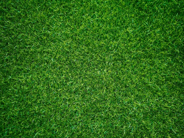 Zdjęcie zielona trawa tekstura tło trawa ogród koncepcja używana do robienia zielonego tła boisko do piłki nożnej trawa golf zielony trawnik wzór teksturowane tłox9