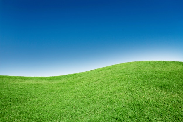 Zielona trawa tekstury z Blang Copyspace przeciw błękitne niebo