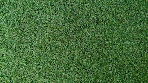 Zdjęcie zielona trawa tekstury