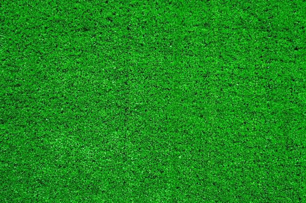 Zielona trawa tło boisko do piłki nożnej