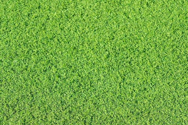 Zielona trawa tło boisko do piłki nożnej