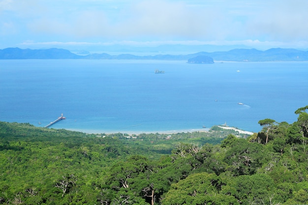 Zielona tropikalna dolina z lasami w Krabi, Tajlandia