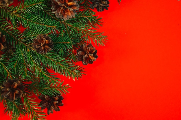 zielone gałęzie jodły na czerwonym tle Szablon świąteczny