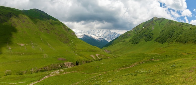 Zielone góry regionu Uszguli swanetia na tle ośnieżonych gór geogia